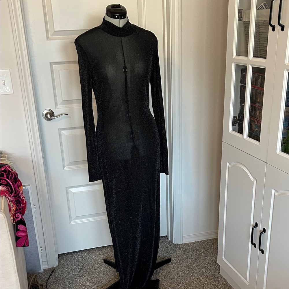 Elegant Sparkly Sheer Dress